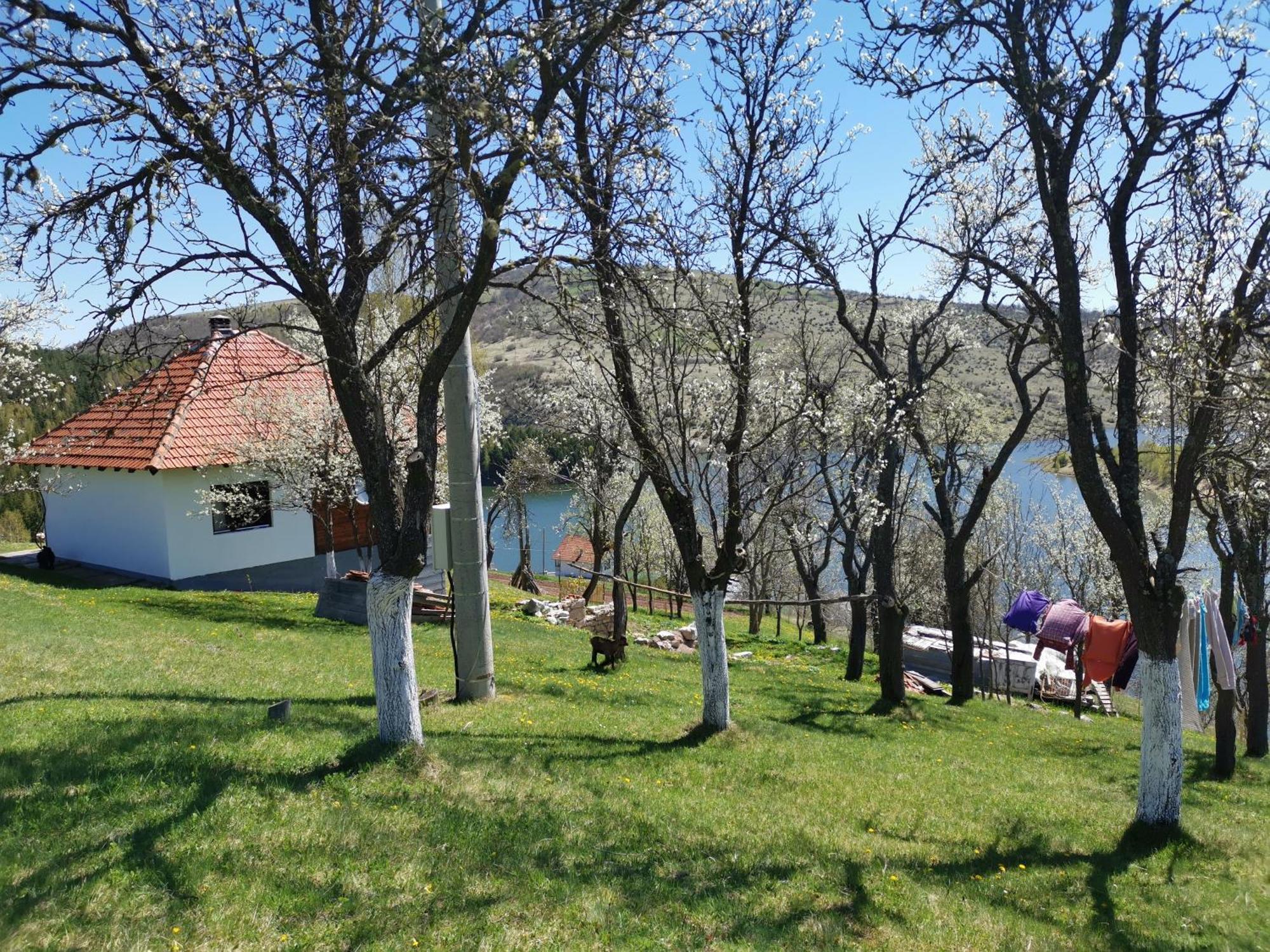 Uvac Griffon Vila Nova Varoš Exterior foto