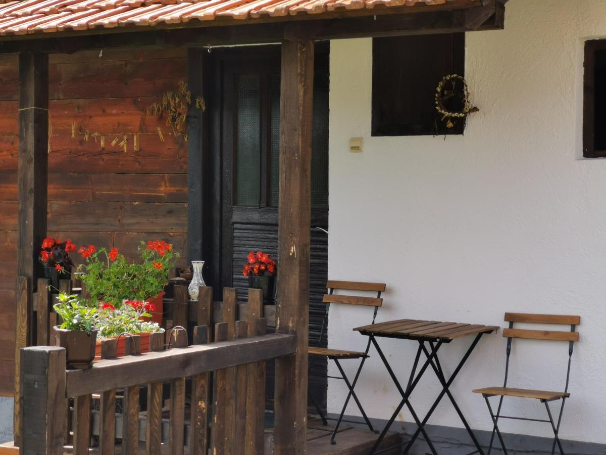 Uvac Griffon Vila Nova Varoš Exterior foto