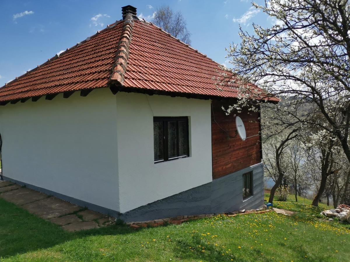Uvac Griffon Vila Nova Varoš Exterior foto