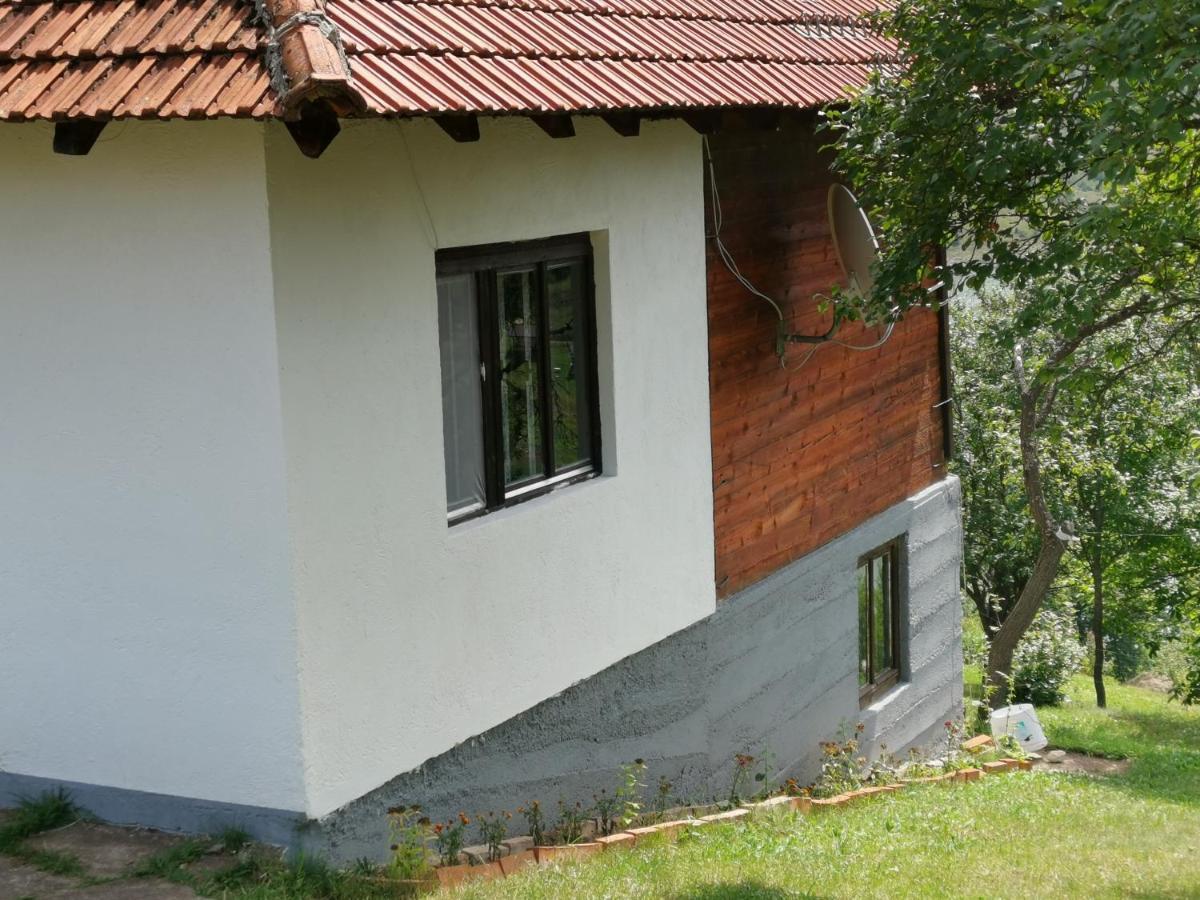 Uvac Griffon Vila Nova Varoš Exterior foto
